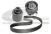 VW 038198119C Timing Belt Kit